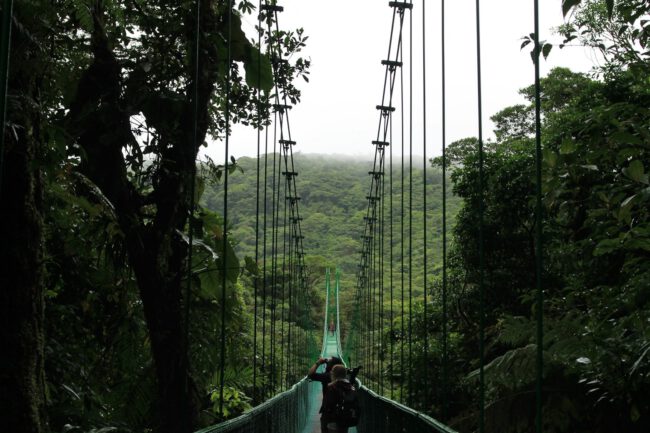 אנשים הולכים על גשר תלוי במונטה ורדה, העמק המרכזי בקוסטה ריקה