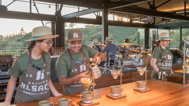 בריסטה מוזג קפה בחוות Hacienda Alsacia של סטרבאקס באלחואלה - מקור - אתר החווה