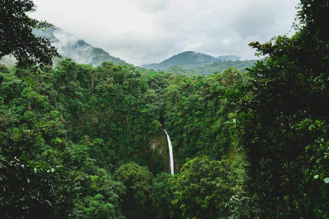עצים ירוקים על ההר מתחת לעננים לבנים במהלך היום - יום קלאסי בקוסטה ריקה