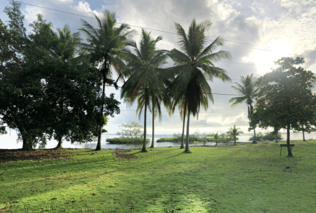רצועת דשא טיפוסית על החוף בפוארטו חימנז